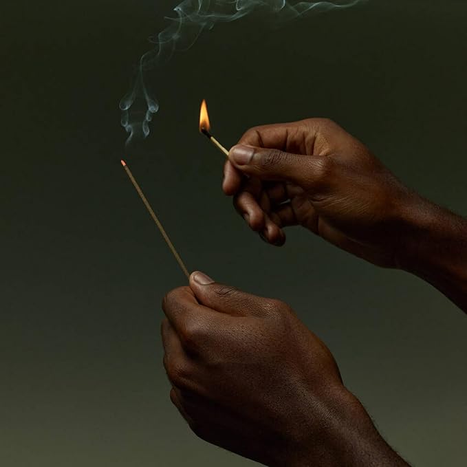 Aesop Murasaki Aromatique Incense Sticks | Woody and Spicy Aroma of Hinoki & Cinnamon| 33 Sticks, 30-Min Burn Time | Includes Kanuma Pumice Holder | Vegan, No Synthetic Fragrance