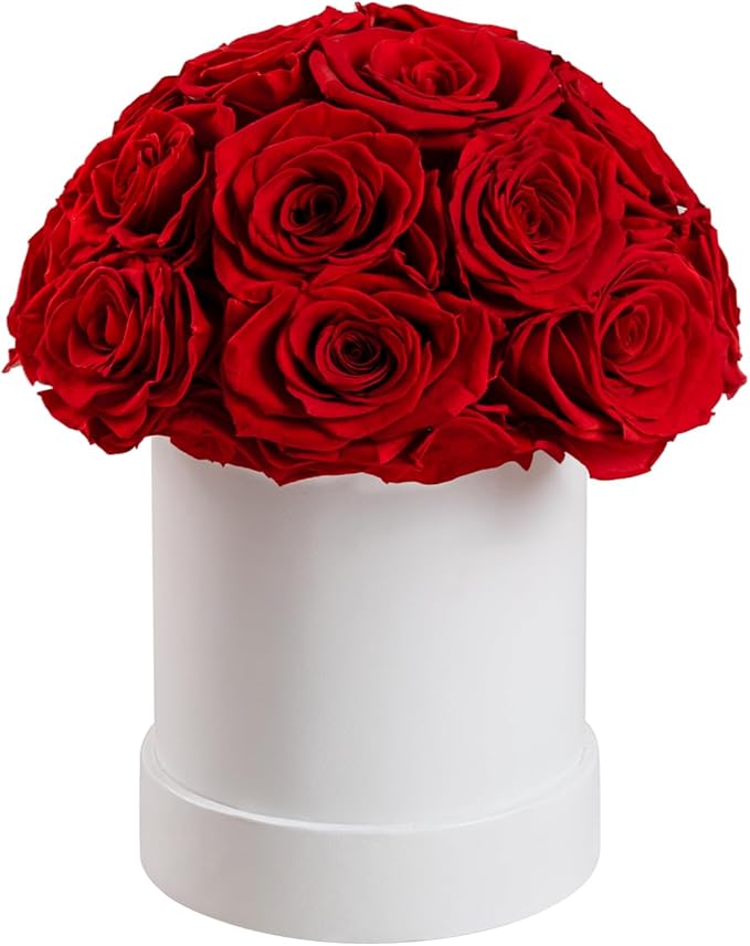 18 Preserved Roses in Round Dome Shape, Mother's Day Real Forever Flowers Rose Box, Eternal Rose Gift for Her Women Girl Friend Wife, Flower Gift for Valentines Day(Red)