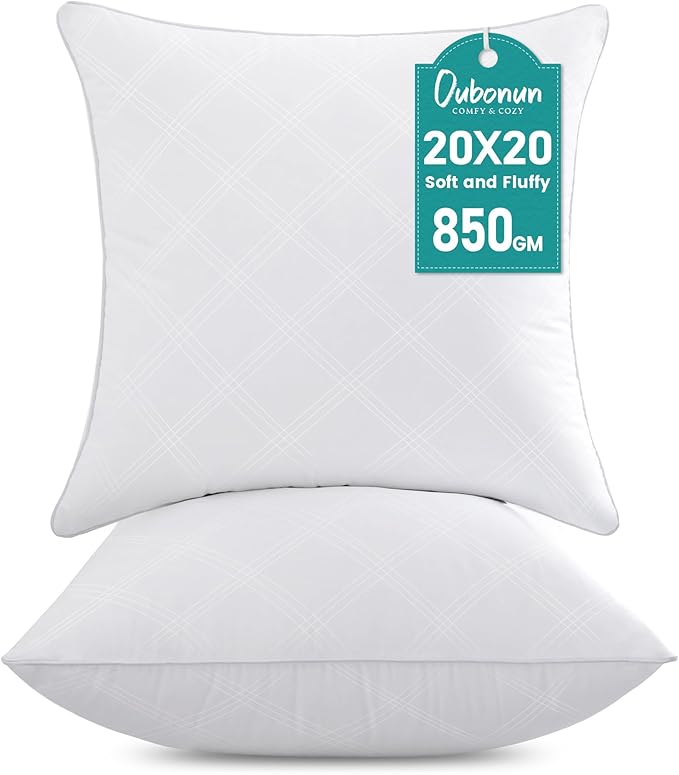 Oubonun 20x20 Throw Pillows Inserts Pack of 2, Decorative White Square Pillow Inserts, Premium Fluffy Pillow Insert Pair for Sofa Couch Living Room