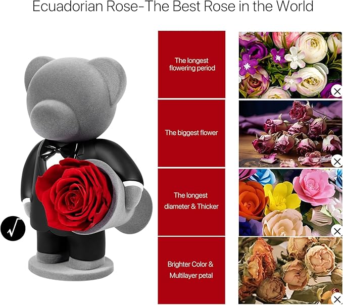 JoyFlower Preserved Flowers with Cute Teddy Bear in Suit, Unique Gentleman Bear Eternal Real Red Rose Romantic Gift with Elegant Gift Box for Girlfriend Wife Her in Valentines Birthday Anniversary