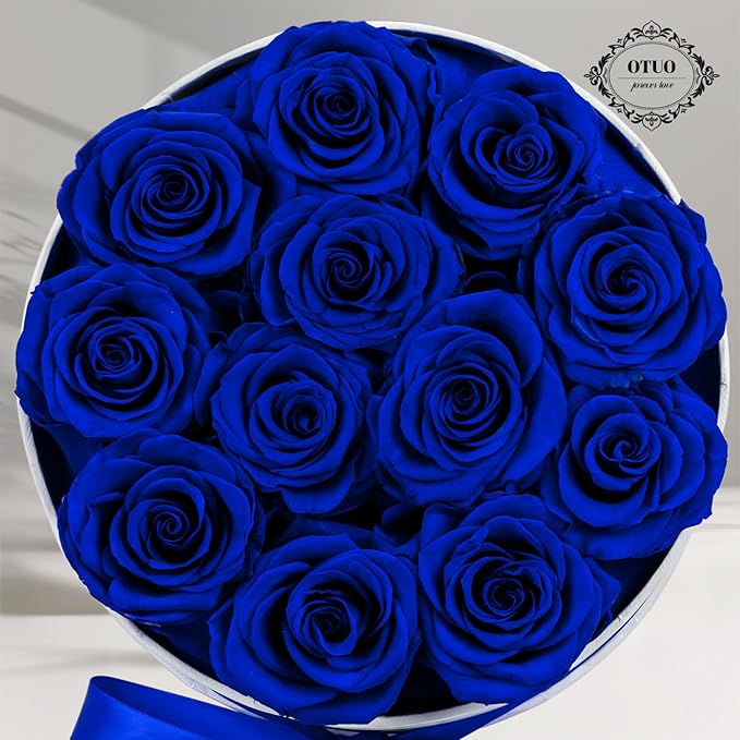 12 Piece Preserved Roses in a Box - Forever Flowers for Delivery Prime, Eternal Roses Mothers Gifts for Mom, Valentine's Day, Wife Anniversary Birthday Gifts for Women(Blue)