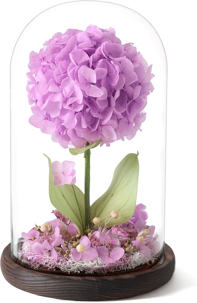 Forever Hydrangeas in Glass Dome,Forever Preserved Flowers Gifts Mothers Day Birthday for Grandma Women Mom Wife,Fresh Flowers for Delivery/Purple Hydrangea