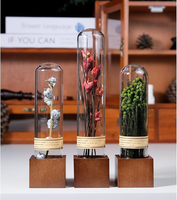 3Pcs Dried Flower Decor,Knick Knacks for Shelves,Cool Stuff for Bookshelf,Small Plants Decor for Office Shelves,Natural Green Plants Boho Shelf Decor,Apothecary Decor,Unique Gifts for Women,Friends