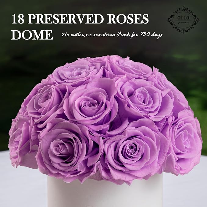 18 Preserved Roses in Round Dome Shape, Mother's Day Real Forever Flowers Rose Box, Eternal Rose Gift for Her Women Girl Friend Wife, Flower Gift for Valentines Day(Purple)