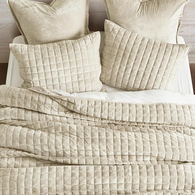 RECYCO Luxury Velvet Quilt Set Full Queen Size Bedding Sets, Ultra Soft Velvet Comforter Set, Lightweight Channel Box Stitch Oversized Bedspread Coverlet for All Season, with 2 Shams, Beige