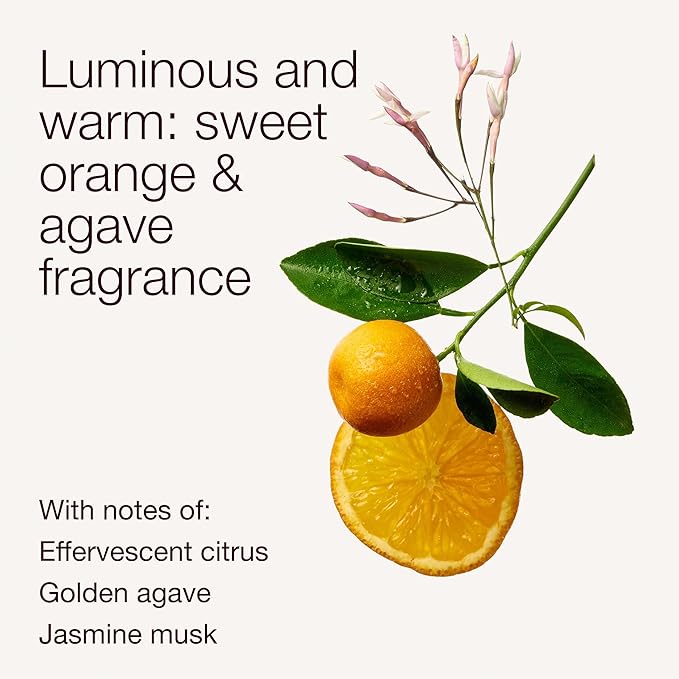 Bath & Body Works 3-Wick Candle, Sweet Orange & Agave Citrus Candle, Strong Throw, Long-Lasting Burn Up to 45 Hours, Exclusively Fragranced Soy Wax Blend, 14.5 oz - 2 Pack