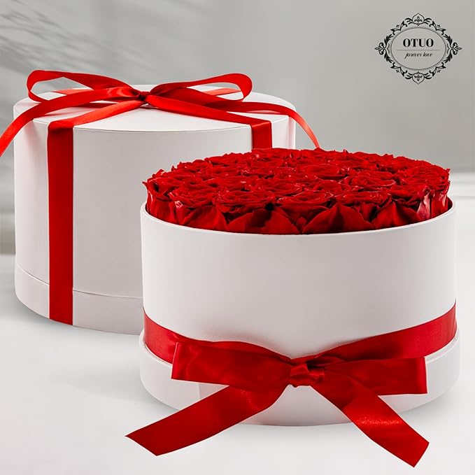27 Piece Preserved Roses in a Box - Forever Flowers for Delivery Prime, Eternal Roses Mothers Gifts for Mom, Valentine's Day, Wife Anniversary Birthday Gifts for Women(Red)