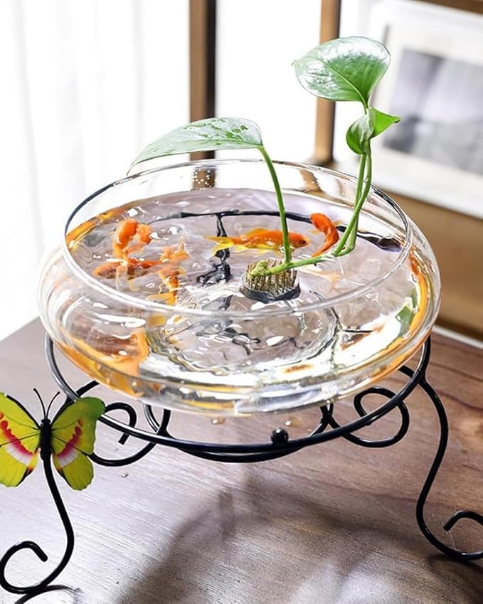 Lotus Bowl Planter 10-Inches Clear Glass Lotus Flower Bowl Indoor Hydroponic Aquatic Plant Bonsai Terrarium No Drainage Hole Table Centerpiece Large