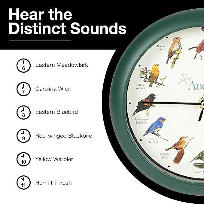 Mark Feldstein, Audubon Singing Bird Clock, 8 Inch, Green
