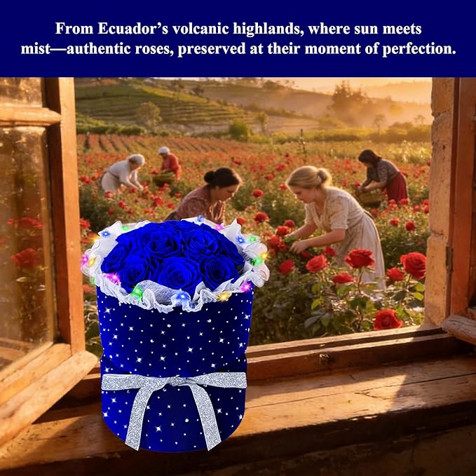 Forever Blue Roses Bouquet Preserved Flowers with Lights for Delivery, 100% Real Immortal Eternal Flower with Rhinestones in Velvet Box,Birthday for Her Mom Women Wife Girlfriend