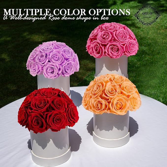 18 Preserved Roses in Round Dome Shape, Mother's Day Real Forever Flowers Rose Box, Eternal Rose Gift for Her Women Girl Friend Wife, Flower Gift for Valentines Day(Pink)