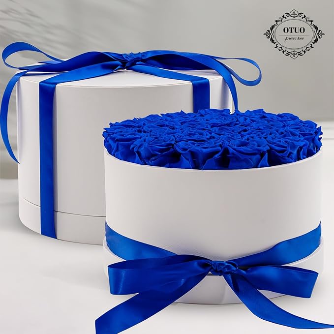 27 Piece Preserved Roses in a Box - Forever Flowers for Delivery Prime, Eternal Roses Mothers Gifts for Mom, Valentine's Day, Wife Anniversary Birthday Gifts for Women(Blue)