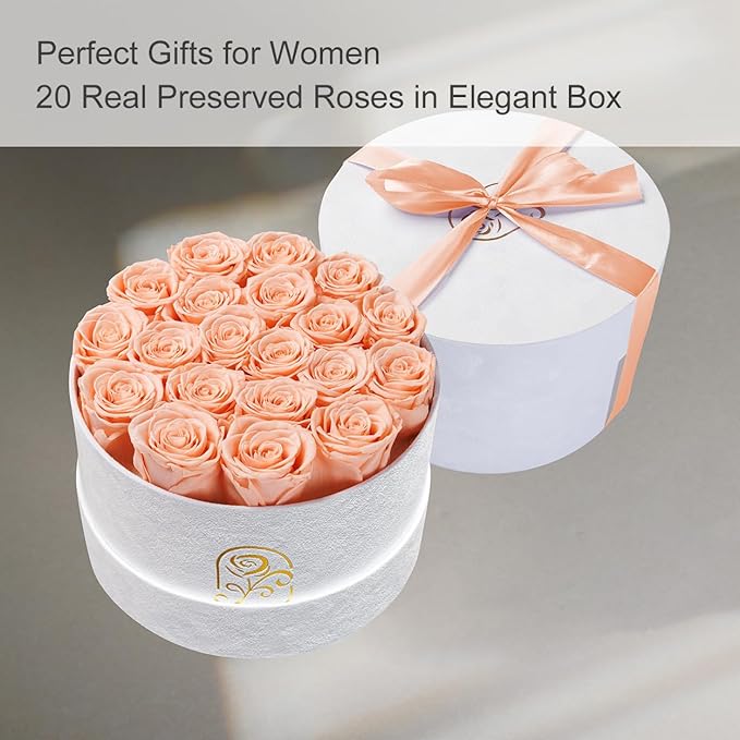 Gifts for Women Preserved Roses Flower Box, Luxury Velvet Box with 20 Roses, Preserved Flowers, Romantic Gift for Her, Wife, Girlfriend, Birthday Anniversary Christmas (Peach Pink)