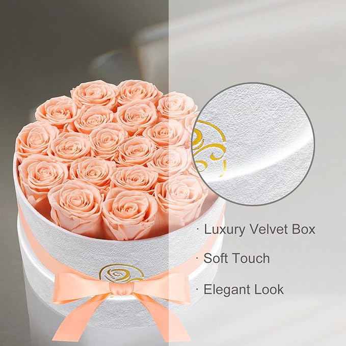Gifts for Women Preserved Roses Flower Box, Luxury Velvet Box with 20 Roses, Preserved Flowers, Romantic Gift for Her, Wife, Girlfriend, Birthday Anniversary Christmas (Peach Pink)