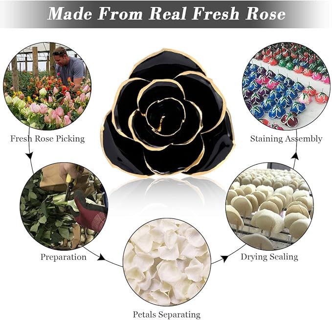 24K Gold Plated Black Rose, Forever Preserved Real Rose Lover Mom Wife Daughter Girl Friend (Black Rose with Stand)