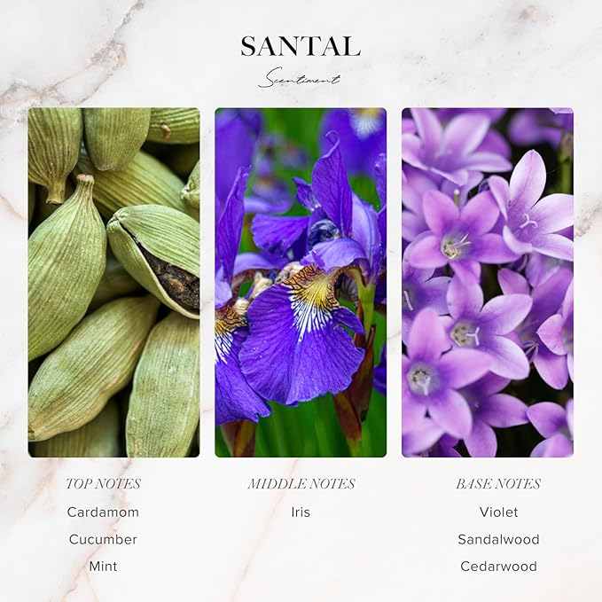 Scentiment Diffuser Oil Sample Set – 3 Pack (Royalty, Brilliance, Santal) | Pineapple, Saffron & Cardamom Blends | Luxury Hotel-Inspired Fragrance Oils for Cold Air Diffusers (3 x 20 mL)