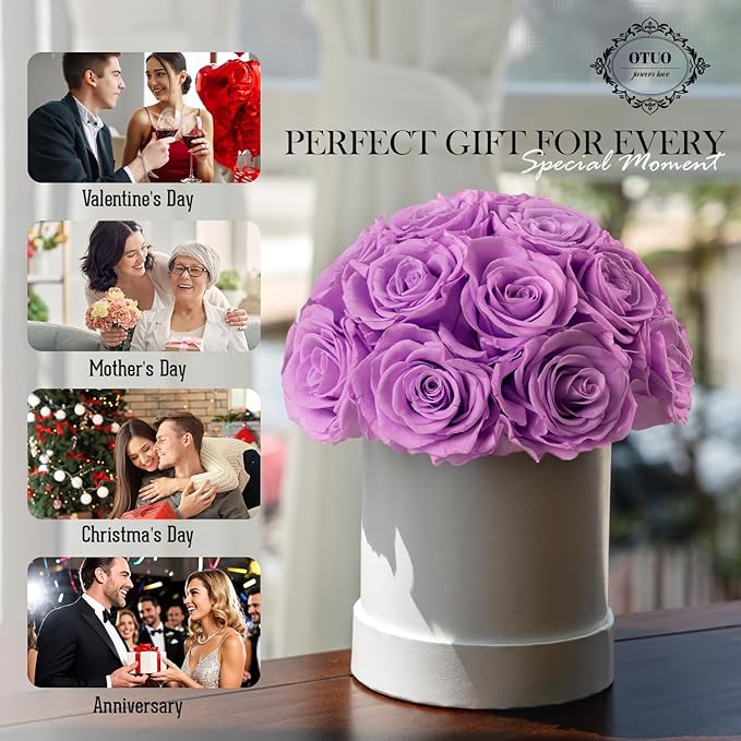 18 Preserved Roses in Round Dome Shape, Mother's Day Real Forever Flowers Rose Box, Eternal Rose Gift for Her Women Girl Friend Wife, Flower Gift for Valentines Day(Purple)