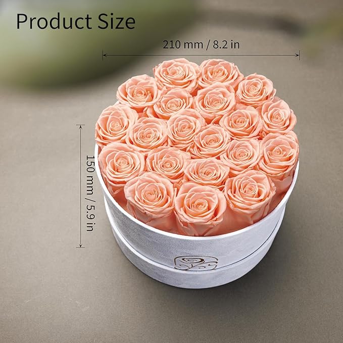 Gifts for Women Preserved Roses Flower Box, Luxury Velvet Box with 20 Roses, Preserved Flowers, Romantic Gift for Her, Wife, Girlfriend, Birthday Anniversary Christmas (Peach Pink)