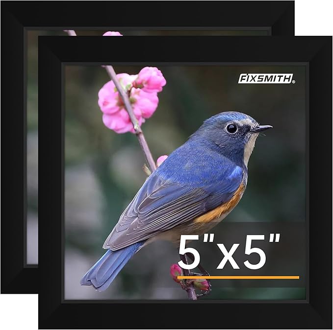 FIXSMITH 5x5 Picture Frame Set of 2, 5x5 Photo Frames with HD Plexiglass for Wall Hanging or Tabletop Display, Black