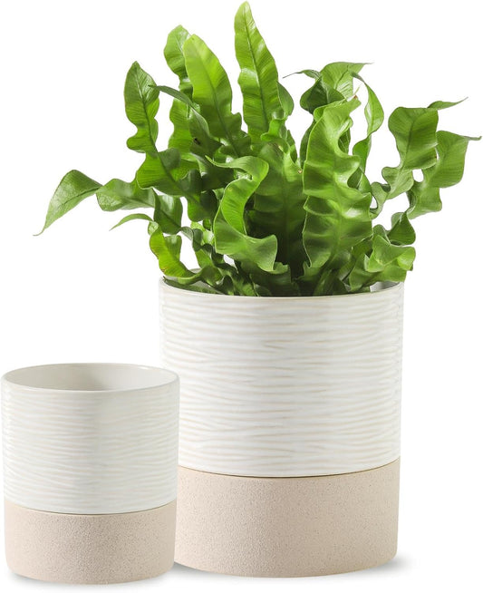 Nihow Self Watering Plant Pot for Indoor Plants: 4.5+6 Inch Ceramic Planter with Drainage Hole & Water Storage Plus - Cylinder Flower Pot with Wick for Herbs -White & Brown