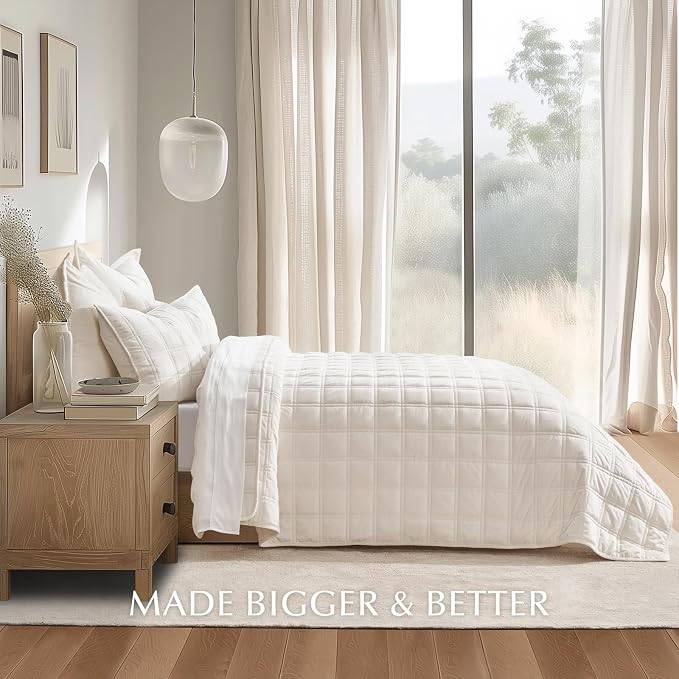 EverGrace 3 Pieces Luxurious Velvet Quilt Queen Size, Ultra Soft Bedspread Coverlet Set, Double Box Stitch Lightweight Velvet Comforter for All Season with 2 Shams, Cream White, 92"x96"