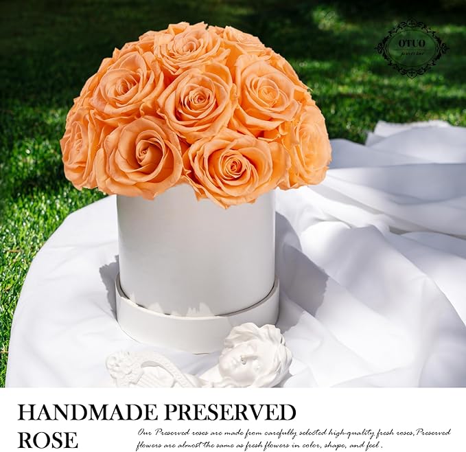 18 Preserved Roses in Round Dome Shape, Mother's Day Real Forever Flowers Rose Box, Eternal Rose Gift for Her Women Girl Friend Wife, Flower Gift for Valentines Day(Champagne)