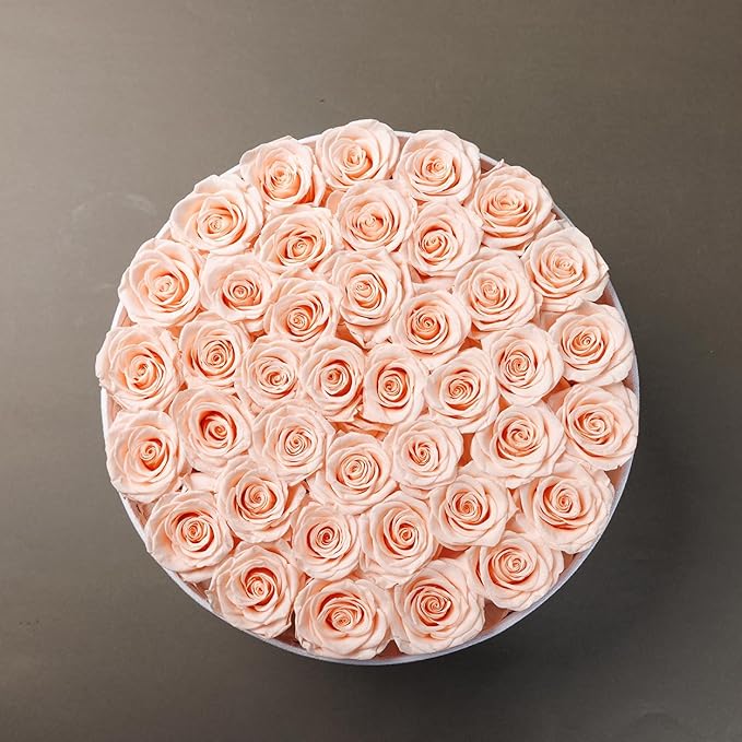 Gifts for Women Preserved Roses Flower Box, Luxury Velvet Box with 40 Roses, Preserved Flowers, Romantic Gift for Her, Wife, Girlfriend, Birthday Anniversary Christmas (Peach Pink)