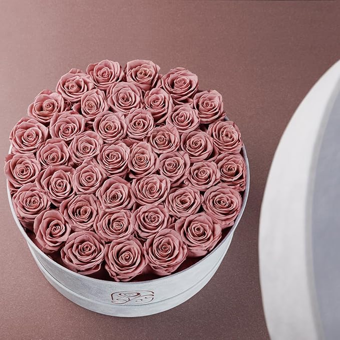 Gifts for Women Preserved Roses Flower Box, Luxury Velvet Box with 40 Roses, Preserved Flowers, Romantic Gift for Her, Wife, Girlfriend, Birthday Anniversary Christmas (Dusty Pink)