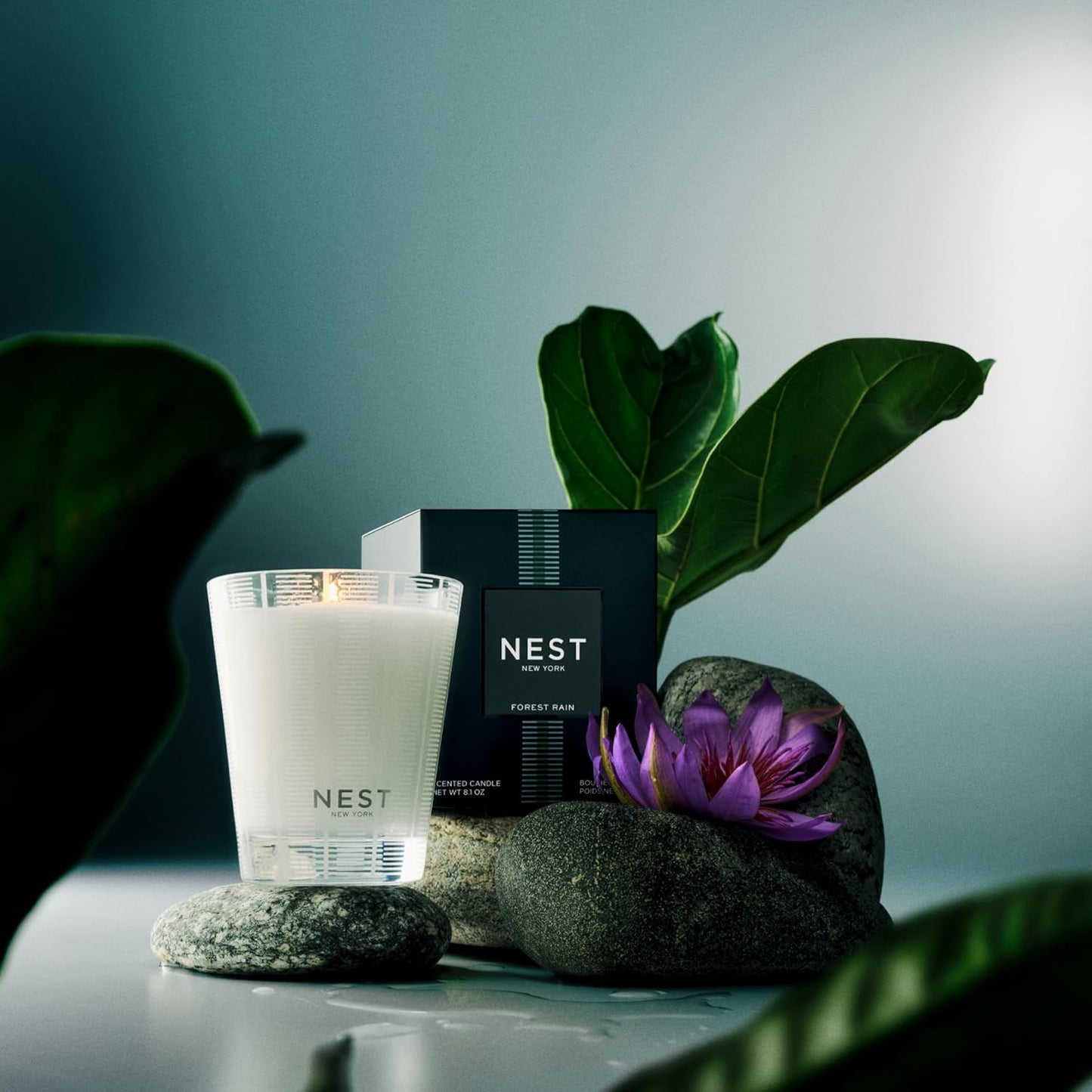 NEST New York Scented Classic Candle, Forest Rain - 8.1 oz - Up to 60-Hour Burn Time - Reusable Glass Vessel