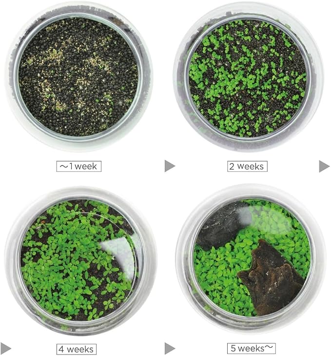 Kraftstories Water Terrarium Kit with 5.9” Glass Bowl, Substrate and Seeds | Create Your Own Indoor Garden | DIY Complete Set for Simple, Stunning Growth Unique Gift for Nature Lover | Desktop Decor