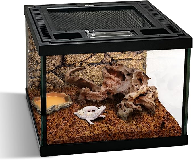Mini Reptile Glass Terrarium Tank 8 * 8 * 6" Full View, Amphibians Habitat Enclosure Cage for Frog,Spiders,Dubia Cockroach,Praying Mantis,Cricket,Tarantula,Hermit Crab