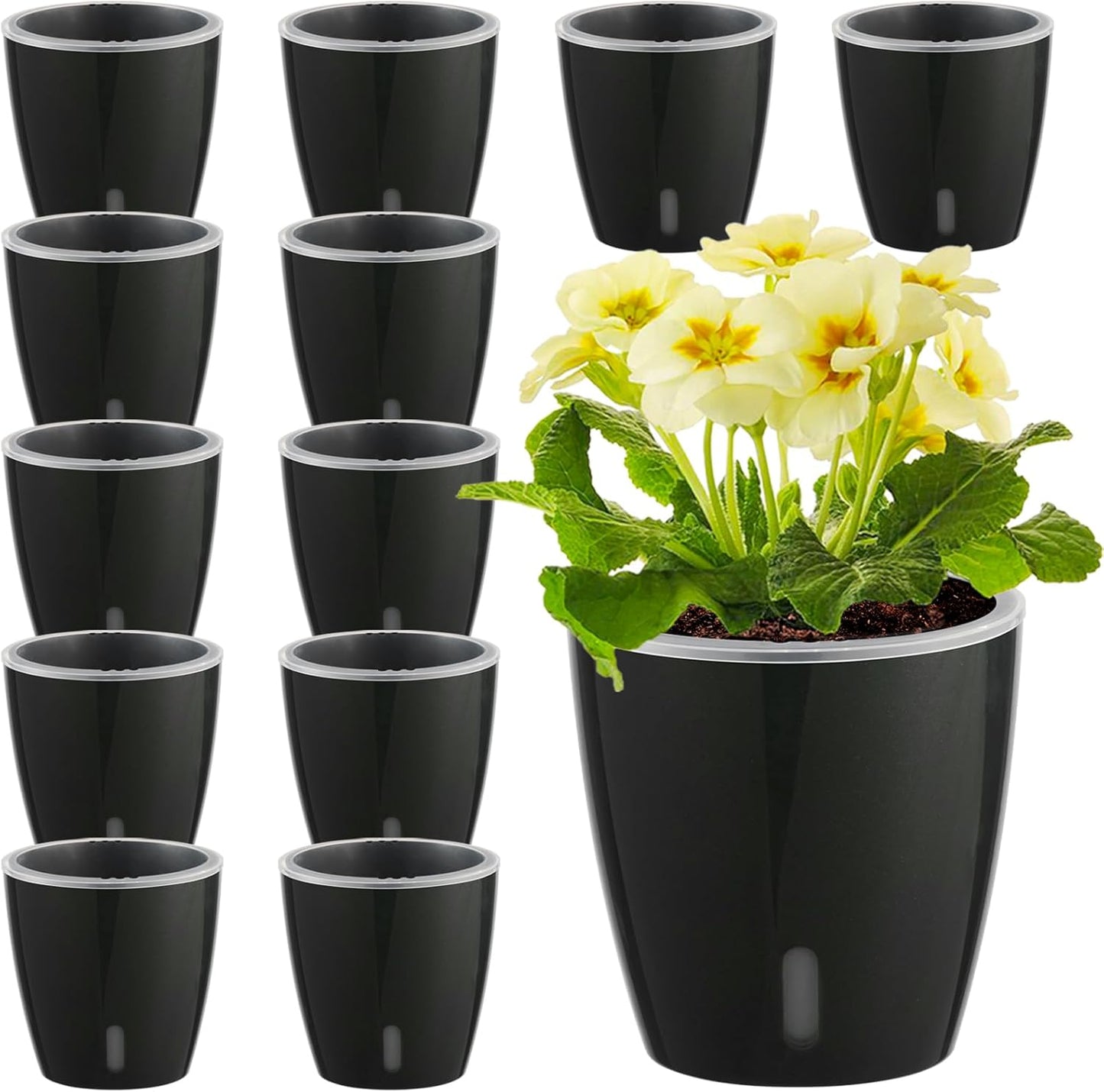 Self Watering Pots for Indoor Plants, 12-Pack 5'' Self Watering Planter with Drainage Holes, Small African Violet Pots with Water Level Indicator, Clear Wick Pot, Black