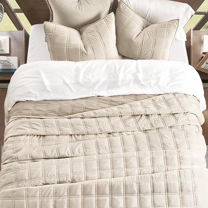 EverGrace 3 Pieces Luxurious Velvet Quilt Queen Size, Ultra Soft Bedspread Coverlet Set, Double Box Stitch Lightweight Velvet Comforter for All Season with 2 Shams, Beige, 92"x96"