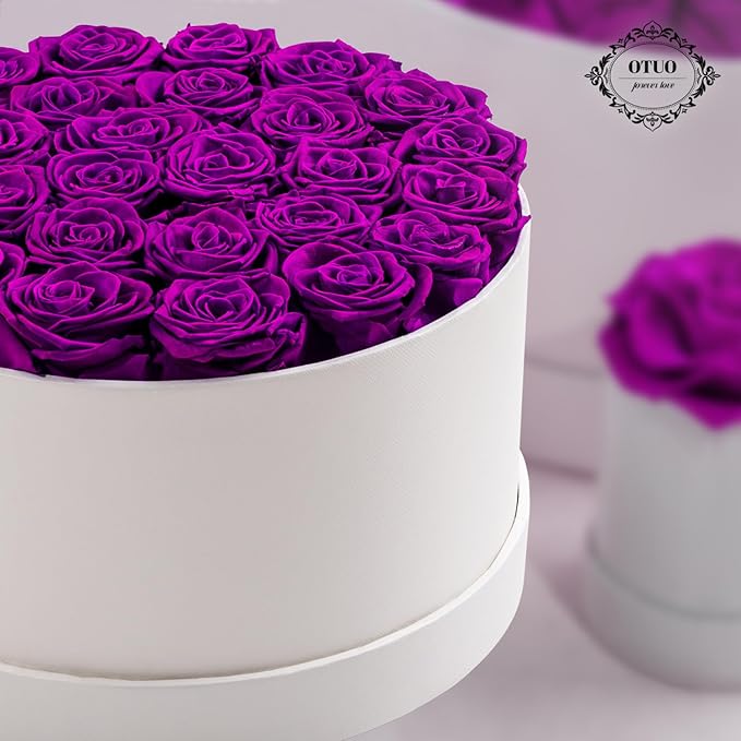 27 Piece Preserved Roses in a Box - Forever Flowers for Delivery Prime, Eternal Roses Mothers Gifts for Mom, Valentine's Day, Wife Anniversary Birthday Gifts for Women(Purple)