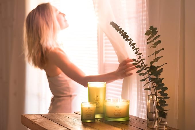 Chesapeake Bay Candle PT40886 Scented Candle Awaken + Invigorate (Lemongrass Eucalyptus) Medium Green Home Decor 8.8oz (Pack of 4)