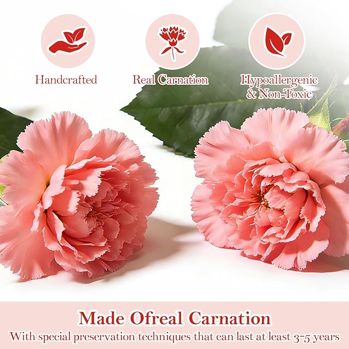 Preserved Roses,Forever Fresh Flowers 7.48in,Gift for Women,Mom,Grandma,Wife,Girlfriend,Sister,and Daughter Perfect for Birthday,Mother’s Day,Valentine’s Day (Sweetheart Carnation4)