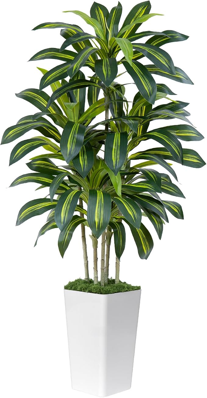 Dracaena Plant Artificial Tree 5Ft Tall Fake Tropical Floor Plants Potted Artificial Silk Tree Leaf Faux Trees White Tall Planter for Home Office Living Room Indoor Outdoor Decor