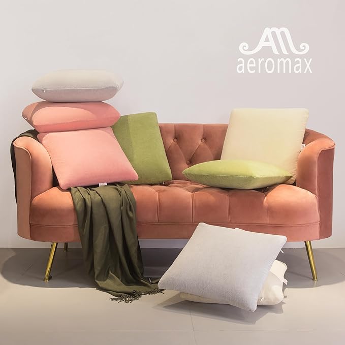 AM AEROMAX 22 ×22 Pillow Insert (Pack of 2) Memory Foam Throw Pillow Insert Sham Square for Decorative Cushion Bed Couch Sofa Without Deform After Longtime Use(Grey)