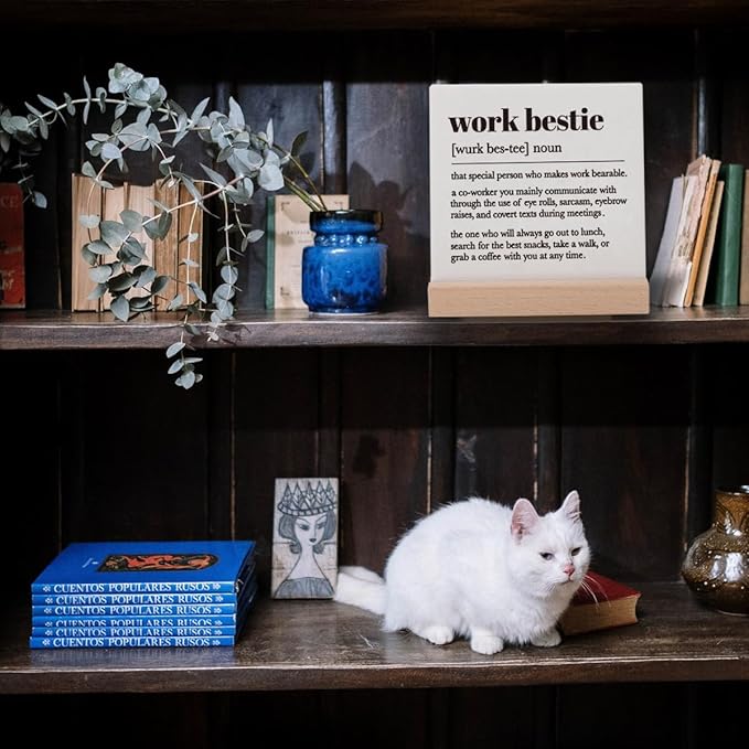 Work Bestie Gifts: Decorative Ceramic Signs for Coworkers & Partners