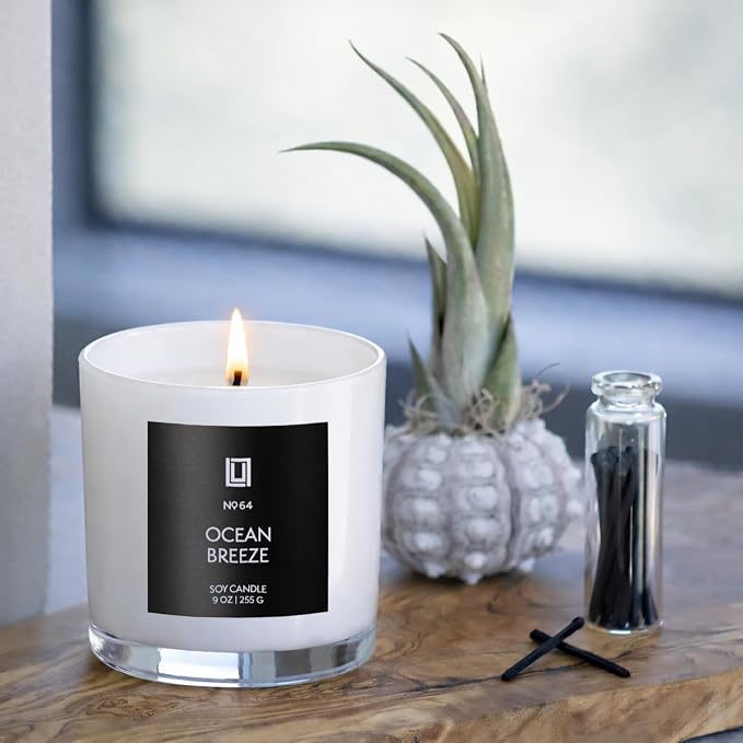 Lulu Candles | Pineapple Evergreen | Luxury Scented Soy Jar Candle | Hand Poured in The USA | Highly Scented Candles for Home Fragrance & Decor (9 Oz.)