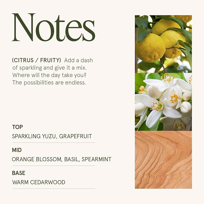 LA JOLIE MUSE Yuzu & Neroli Scented Candles for Home, Natural Soy 2-Wick | Large Jar Luxury Fresh Candle, Clean Non Toxic, Gifts for Women & Men, Spring Summer Candles, Pretty Candle, Citrus Orange
