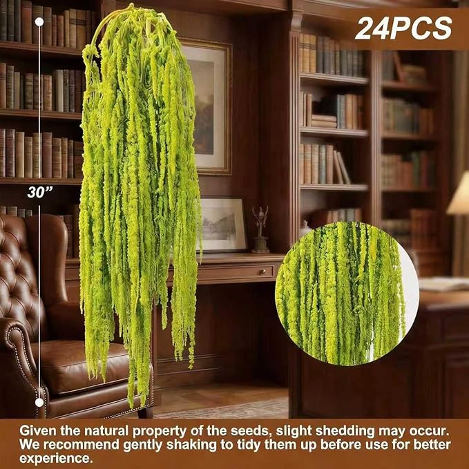 Silva Loup 24pcs Natural Dried Wisteria Hanging Flowers 30" - Bleached Green Vine for Wedding Bouquets, Wall Decor | Shedding Note & Mess-Free Use Tips Included