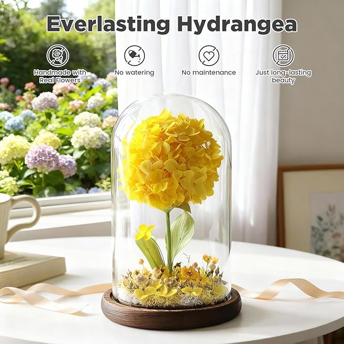 Forever Hydrangeas in Glass Dome,Forever Preserved Flowers Gifts Mothers Day Birthday for Grandma Women Mom Wife,Fresh Flowers for Delivery/Yellow Hydrangea