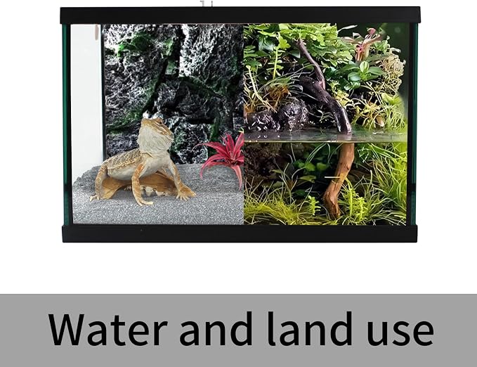 Reptile Glass Terrarium Tank 12 * 12 * 8" Full View with Top Ventilation, Amphibians Habitat Enclosure Cage for Frog,Spiders,Dubia Cockroach,Praying Mantis,Cricket,Tarantula,Hermit Crab