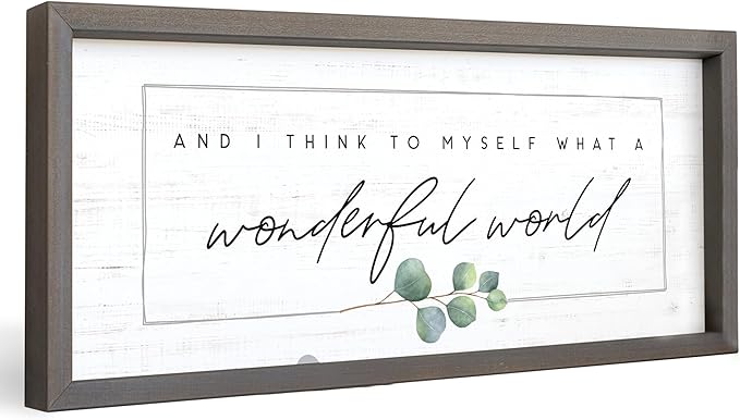 Simply Said, INC Farmhouse Frames What a Wonderful World Wooden Sign, Rustic Framed Wall Art, Inspirational Farmhouse Home Decor, 10 x 24 Inch