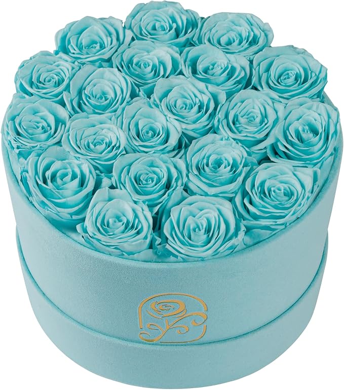 Gifts for Women Preserved Roses Flower Box, Luxury Velvet Box with 20 Roses, Preserved Flowers, Romantic Gift for Her, Wife, Girlfriend, Birthday Anniversary Christmas (Teal Blue)