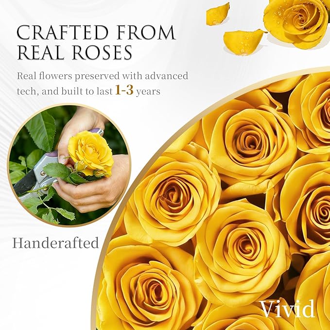 Chosiarose Forever Flowers Preserved Roses - 27 Preserved Flowers for Delivery Forever Yellow Rose Gifts for Women Her Mom Gifts for Birthday Anniversary Flower Gift for Women Wife Grandma Mothers Day
