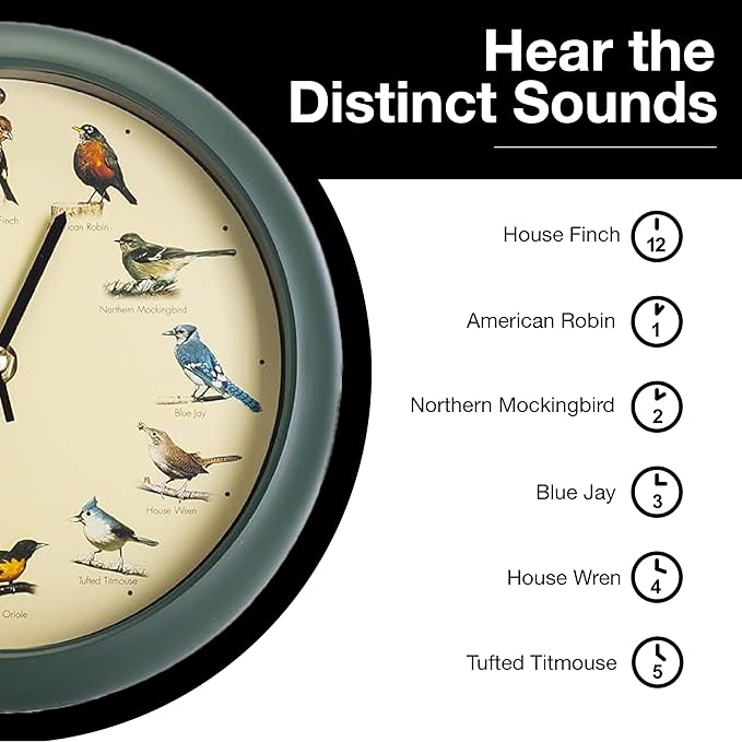 Mark Feldstein, The Original Singing Bird Clock, 8 Inch, Green