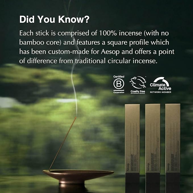 Aesop Murasaki Aromatique Incense Sticks | Woody and Spicy Aroma of Hinoki & Cinnamon| 33 Sticks, 30-Min Burn Time | Includes Kanuma Pumice Holder | Vegan, No Synthetic Fragrance