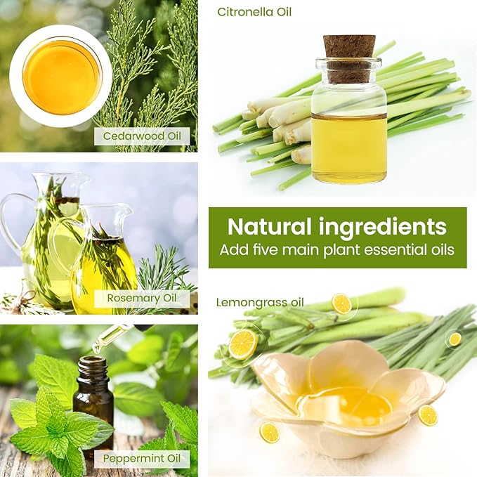 Citronella Incense Cones with 2 Ceramic Dishes | Made with Plant-Based Ingredients | Citronella | Lemongrass Oil | Rosemary Oil | Suitable for Indoor and Outdoor Use (65 Cones)